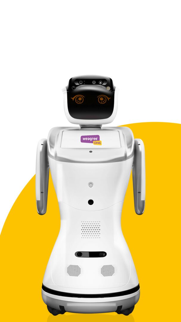 Robot Sanbot front