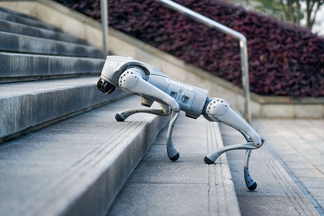 unitree-go2-pro-wspina-sie-po-schodach Robot kelner Lucki w kawiarni z pracownikiem