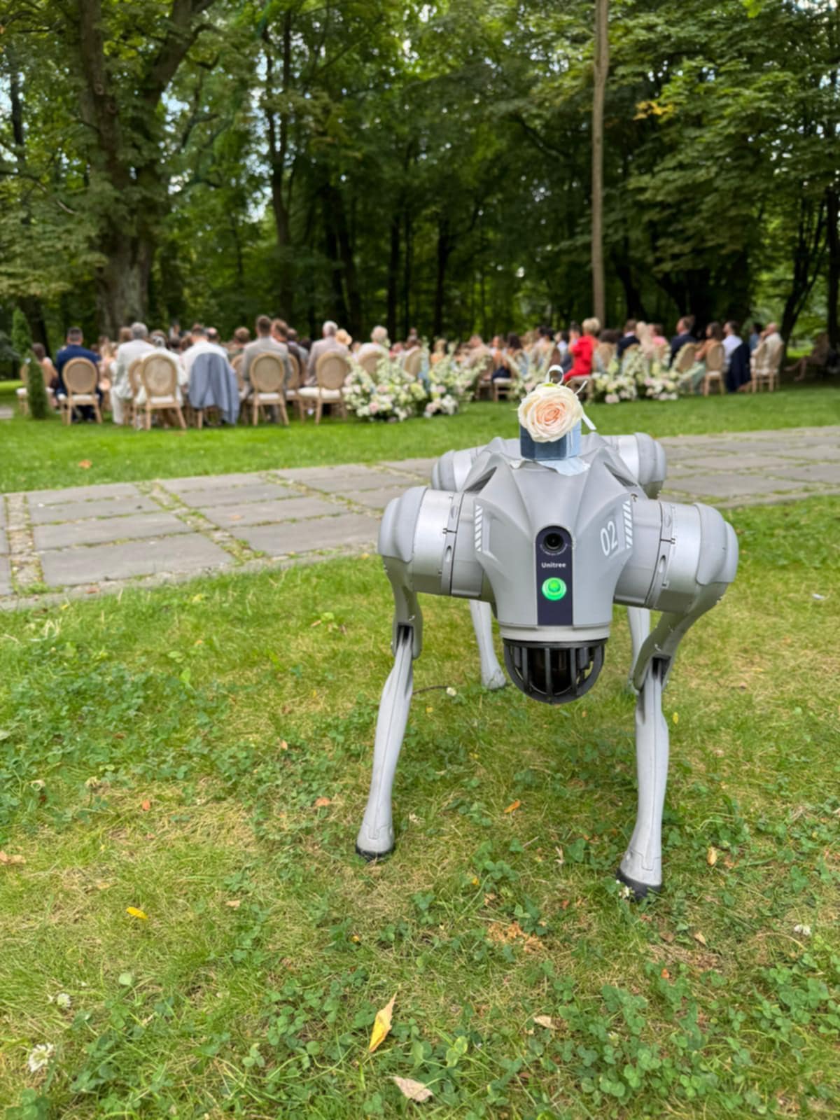 504382536_1303820618421108_7754363337074037717_n (1) Robot pies Unitree Go2 Pro stoi na skale