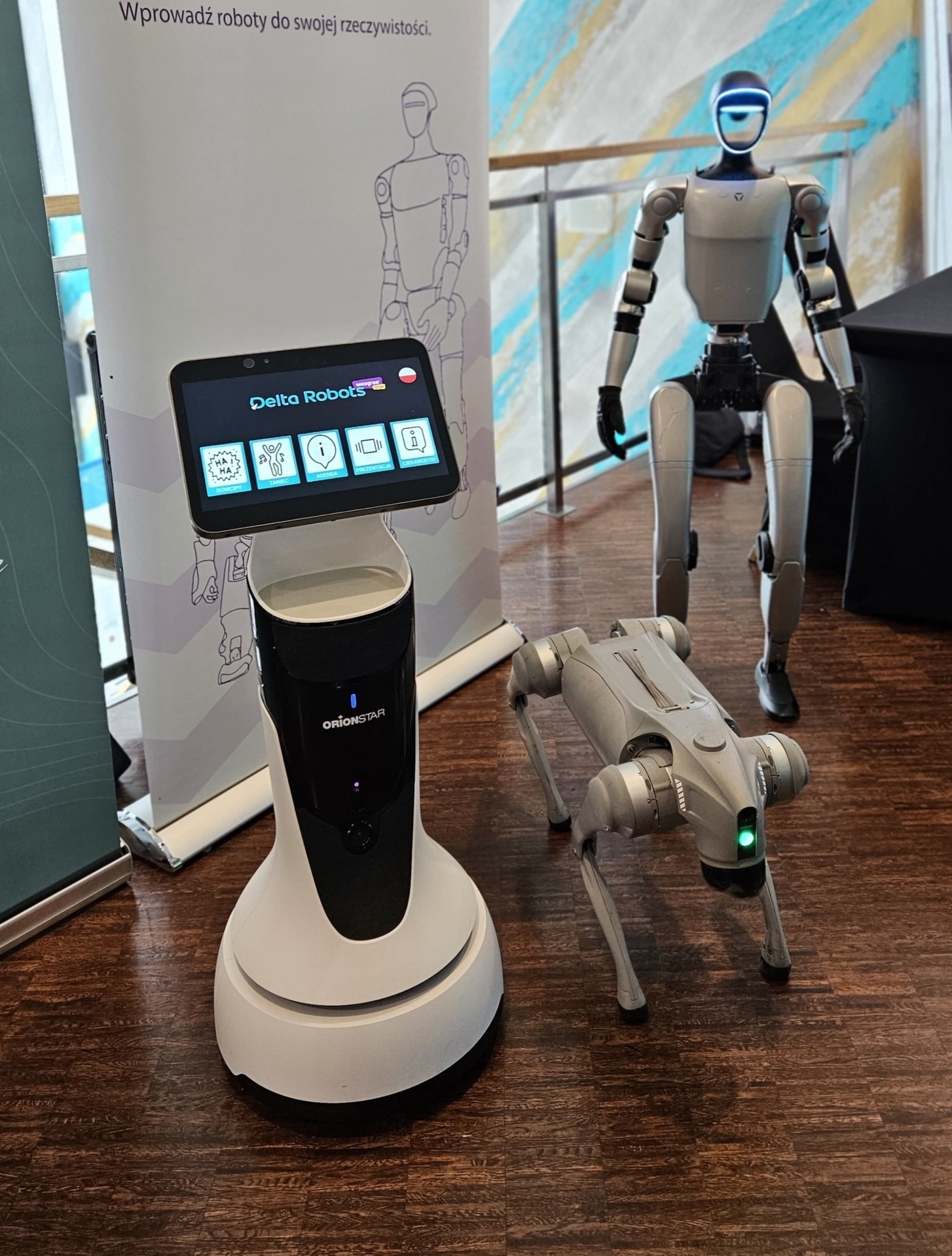 team robotów