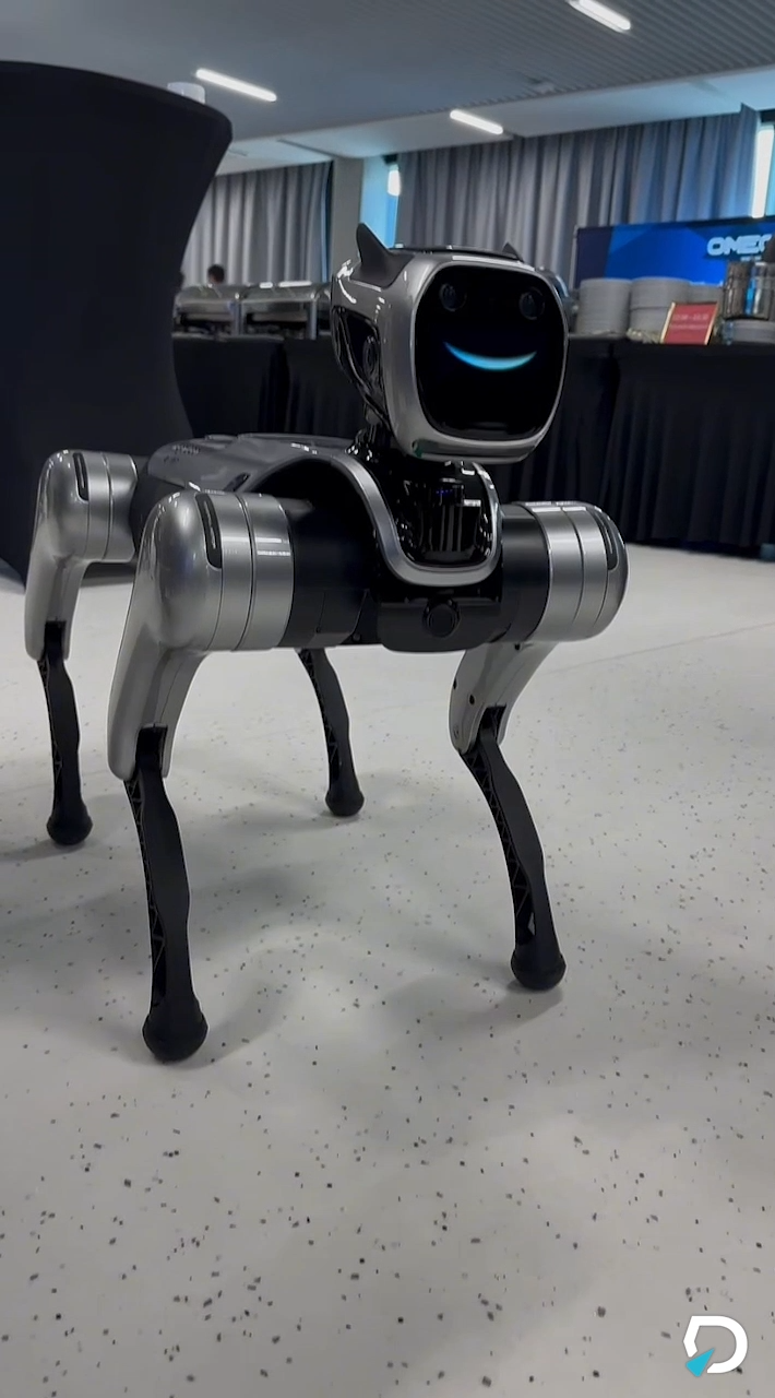 Magic Dog Robot pies Magic Dog melduje się na event