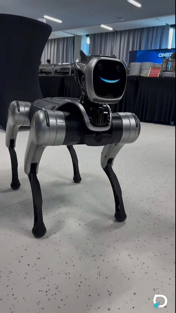 Robot pies Magic Dog melduje się na event